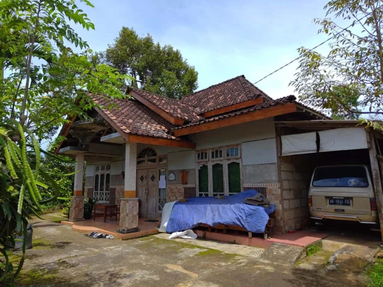 WhatsApp Image 2025-11-08 at 18.26